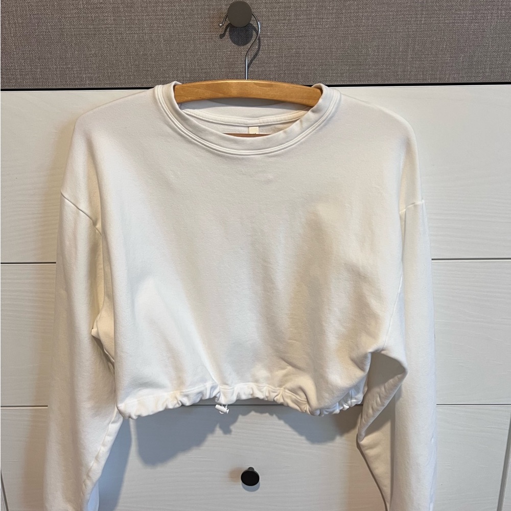 Aritzia babaton sweatshirt